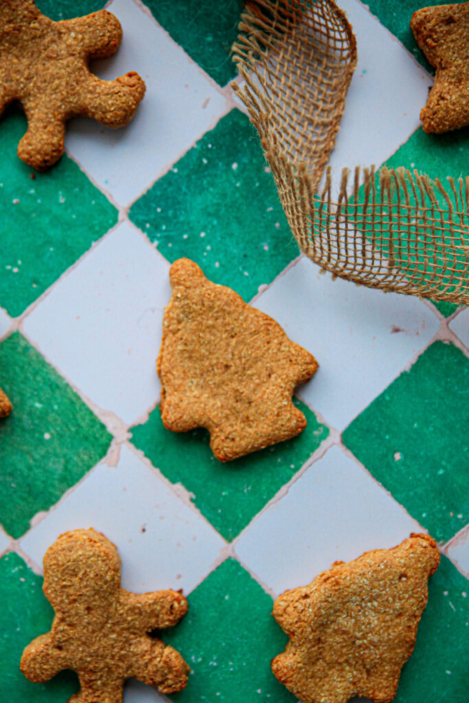 biscuits-chien-arachide-avoine-banane